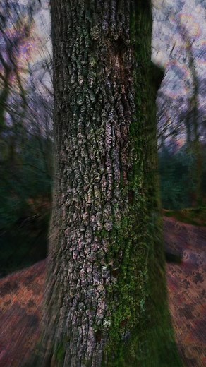 Trippy Psychedelic Rock Music Video | Jefferson Airplane | 60s Music