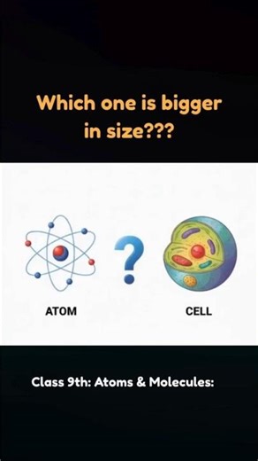 Atom vs Cell: How Big is the Size Difference? | Class 9 Science: Atoms and Molecules Chapter