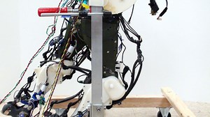 Roboter lernt laufen wie ein Kleinkind