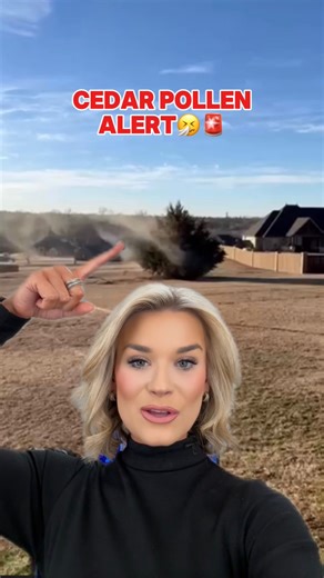 MEGAN GOLD on Instagram: "Coughing, sneezing, feeling bad? Cedar Fever season is here, Oklahoma! Oh yeah… we have winter allergies!👎Details here🤧🤧 @news9 #cedarpollen #oklahoma #allergies #okwx #news9"