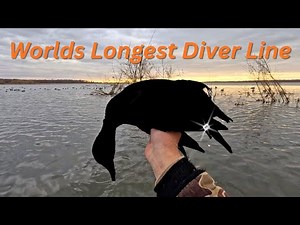 We Shot a BAND Using the Worlds Longest Diver Line!
