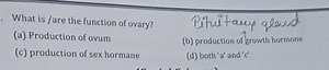 What is / are the function of ovary?(a) Production of ovum(c)... | Filo