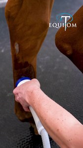 🔦La thérapie par ondes de choc (ASWT - Advanced Shockwave Therapy) est utilisée chez Equitom dans le cadre du traitement des chevaux blessés ou en rééducation. ✔️ASWT peut aider au traitement des problèmes orthopédiques qui peuvent être d'origine ligamentaire, tendineuse, musculaire ou articulaire. Il est également utilisé pour le traitement des inflammations comme la cellulite ou la lymfangite. 💡Comment ça marche ? ✔️Des centaines de microchocs par minute stimulent la circulation sanguine, ce