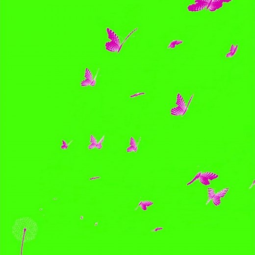 🦋 Butterfly Flying Green Screen Animation | Free to Use HD Footage | Link in Description
