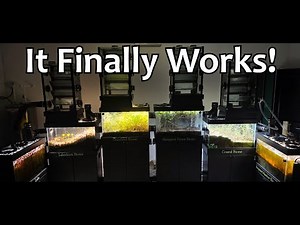 Florida Man Builds a Working Biosphere in His Garage