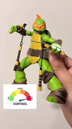 Best Michelangelo TMNT Figure | NECA Collector's Item