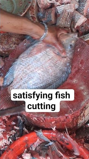 Super Fast Tilapia Fish Cutting Skills! 🔪🐟 #shorts #fishcutting