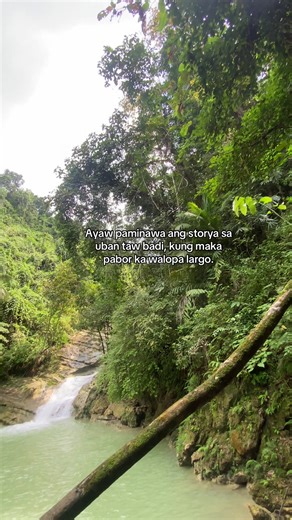 banana🐒 (@mr.pogi_888)’s videos with original sound - Red Alcantara