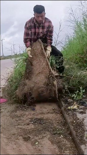 Hard Work to Remove Grass #plastic #remove #shorts #grass #cleaning