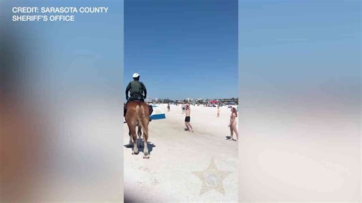 Sarasota mounted patrol deputy plays catch with beachgoers during spring break patrol