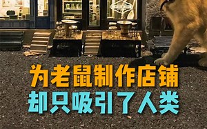 艺术团队AnonyMouse在大街小巷建造适合老鼠的微型世界，吸引人们前去寻找