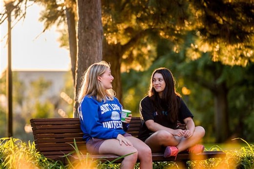 A Message from SLU President Edward Feser