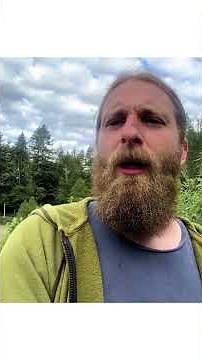 Why Motherwort Works Better as a Tincture