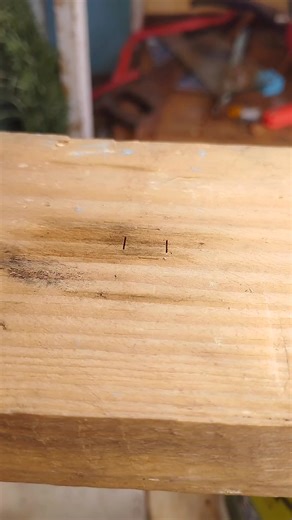 bondra yudistira on Instagram: "Useful tricks for filling staplers Become a cable clamp #reels #diy"