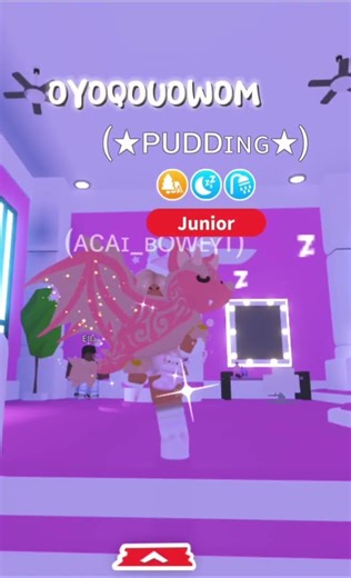 Adopt me colour codes for pets!/