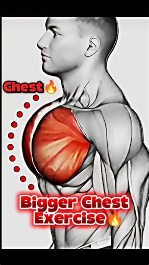 Fitness Growth on Instagram: "How To Build Bigger Chest🔥 Wide Chest🔥#gym #viral #foryou"