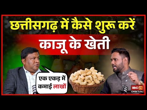 छत्तीसगढ़ में इस Technique से करें काजू की खेती और कमाएं लाखों | Kaju Farming | Cashew Plantation