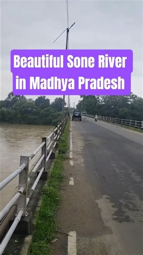 🌊 Sone River Madhya Pradesh 😍 #ytshorts #nature #travel #mptourism