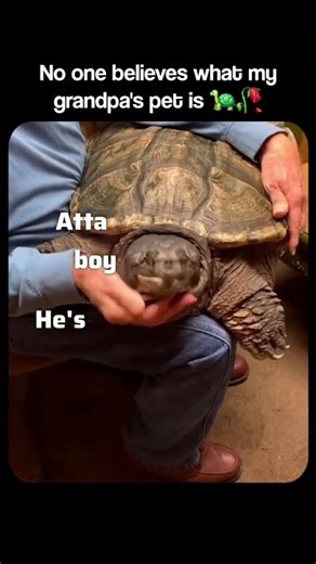 My grandpa's pet #funny #hopecore #hopeless