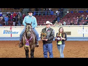 2017 AQHA Senior Heeling