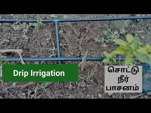 Drip Irrigation - சொட்டு நீர் பாசனம்