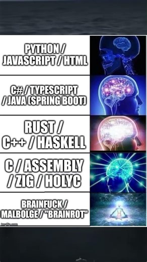 Crazy Language #programming #coding #developer #memes #technology #ai