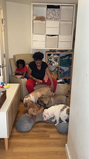 Did You Know? Dog Night Routine | Kira Whit-taker