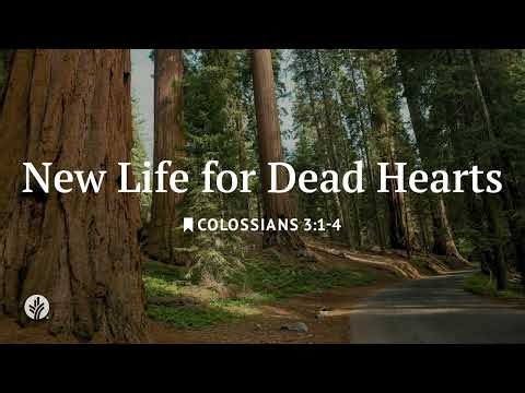 New Life For Dead Hearts | Our Daily Bread | Daily Devotional