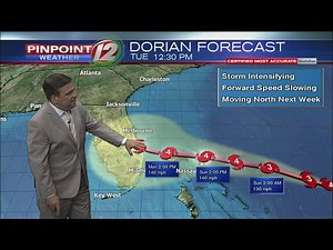 Pinpoint 12 Forecast