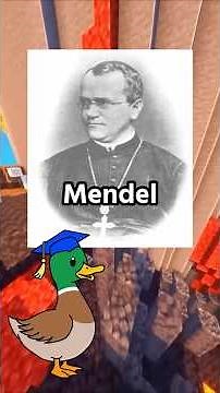 The Laws of Probability in Mendelian Genetics #shorts