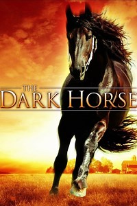 The Dark Horse Summary, Trailer, Cast, Where to Watch and More