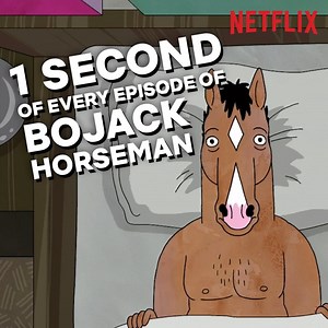 One second from every episode of BoJack Horseman. | Netflix