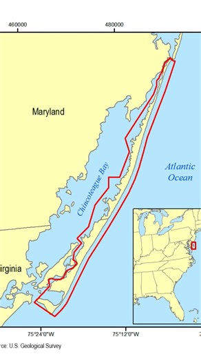 Assateague Island. This place is beautiful! check out our video of our camping trip there! #wild