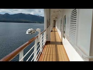 Alaska 2022 Holland America Koningsdam | Best Wildlife Viewing Spots