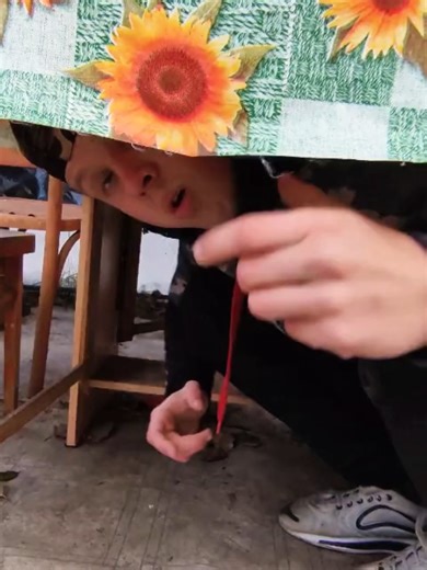 dorani_mslav (@dorani_mslav)’s videos with nhạc nền - dorani_mslav