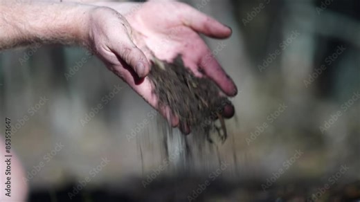 scientist researcher studying soil and forest health effects from climate change. university student research on bush soil structure and biology diversity. holding a soil sample in hand taking photos