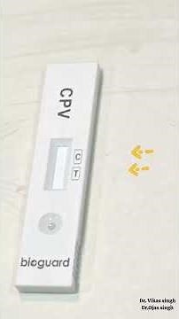 Live Parvo Test in Dog | Using Parvo Detection Kit #parvovirus #dogcare #veterinary #neet