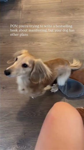 Literally, every time I open my computer… Why are they like this? 😂 Anyway, can’t wait for you guys