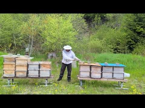 Landbelegstelle Rhön 2023 (Teil 1) - Rundblick im alten Steinbruch