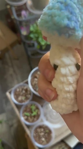 Crochet Mushroom Poppper Fidget Toy - Etsy