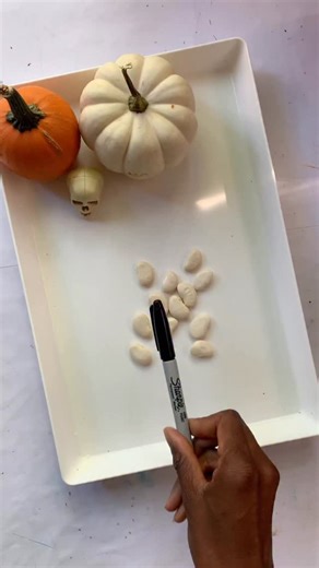 This spooky science activity is Halloween fun and a great little chemistry lesson! Draw ghost faces on dry Lima beans with a marker, drop them into a jar of water. Add baking soda and vinegar, and watch what happens—the ghosts start to bubble, float, and dance! It’s simple to set up, budget-friendly, and perfect for introducing kids to chemical reactions in a hands-on way. Plus, the floating ghosts are guaranteed to make them giggle. Comment GHOST and I’ll send you this activity more spooky Hall