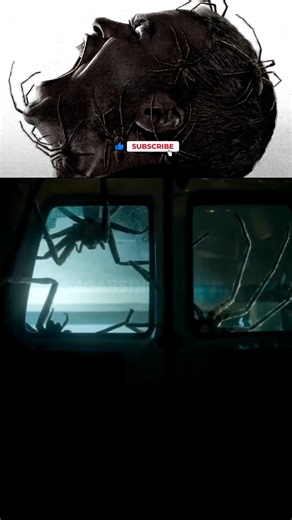 This 2023 Movie Is A Nightmare For Apartment Dwellers... #movieexplained #infested #viral #shorts