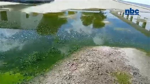 Hostel learners at Caprivi Senior Secondary School boycotted lunch at the dining hall this afternoon after sewage infested the path from the hostel. They claim that the ongoing issue, unresolved for over three years, poses health risks. https://nbcnews.na/node/115106 #NBCNews #nbcdigitalnews #nbcDSTV282 #nbcGOtv20 #nbcPlusApp | NBC Digital News