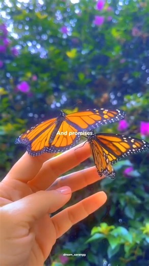 A Thousand Years - Christina Perri | lyrics | aesthetic | whatsapp Status | slowed #shorts #lyrics