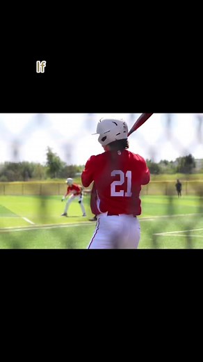 2019 Meta Prime Baseball Bat Review and Farewell