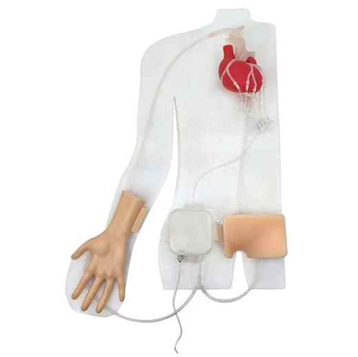 PCI Percutaneous Coronary Intervention Surgery Training Model