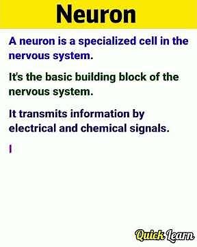 What is neuron? What is the structural and functional unit of nervous system? Is it neuron?