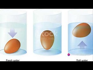 The Egg Float Test: An Eggcellent Way to Determine Freshness