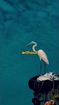 Ancient Tools That Changed Everyday Life Forever