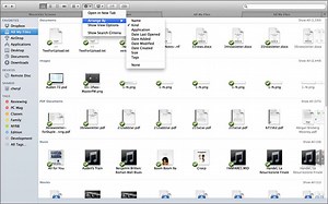 Free Resume Template For Mac Os X